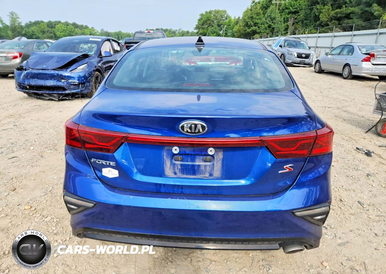 2019 Kia Forte S VIN:3KPF34AD5KE118047 - 6
