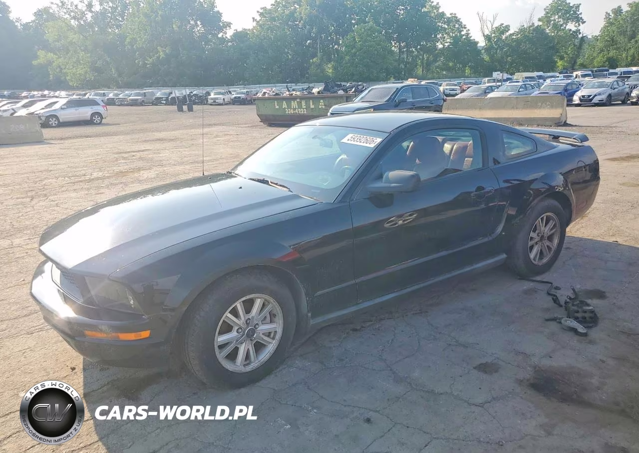 2006 Ford Mustang – zdjęcie 1 z 13