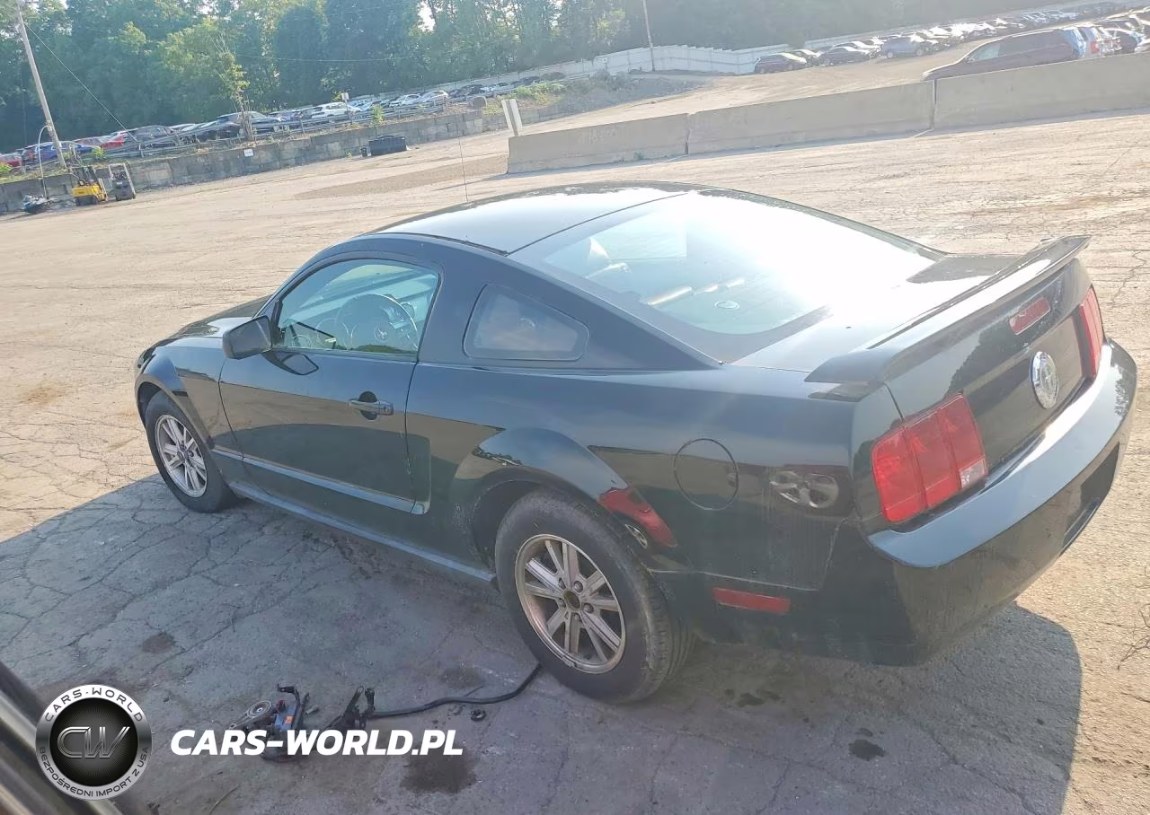 2006 Ford Mustang VIN:1ZVHT80N565131602 - 2