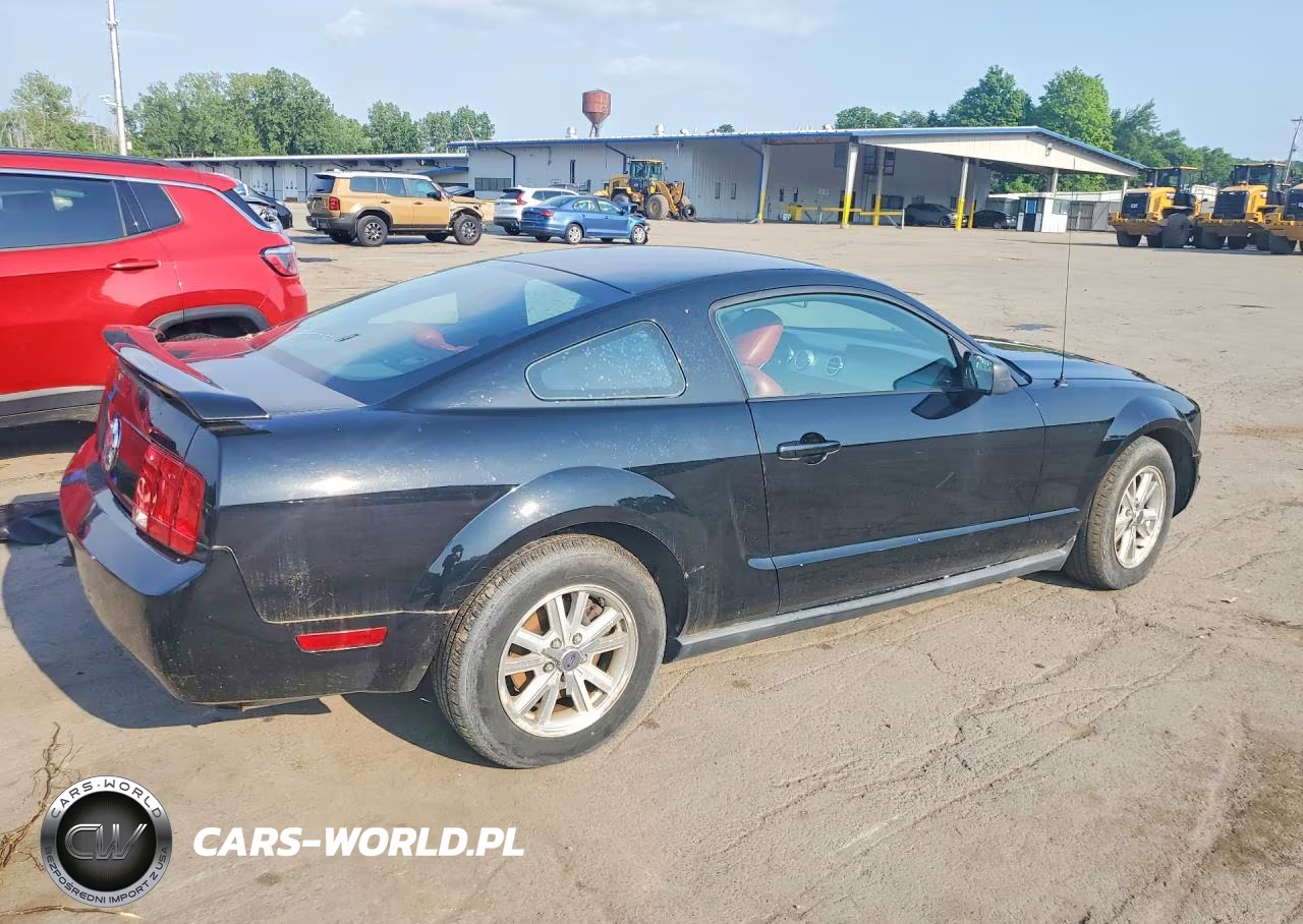 2006 Ford Mustang VIN:1ZVHT80N565131602 - 3