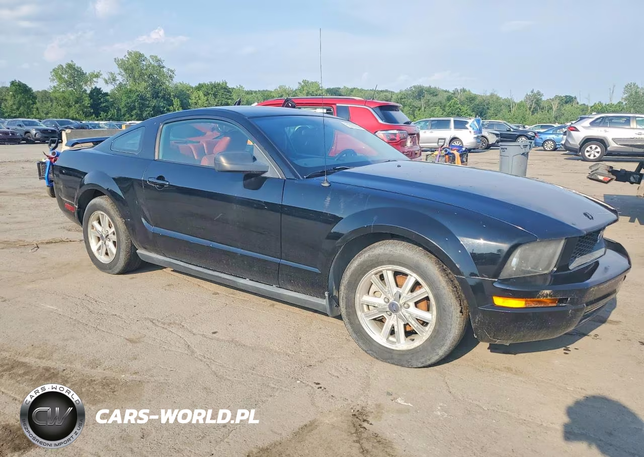 2006 Ford Mustang VIN:1ZVHT80N565131602 - 4