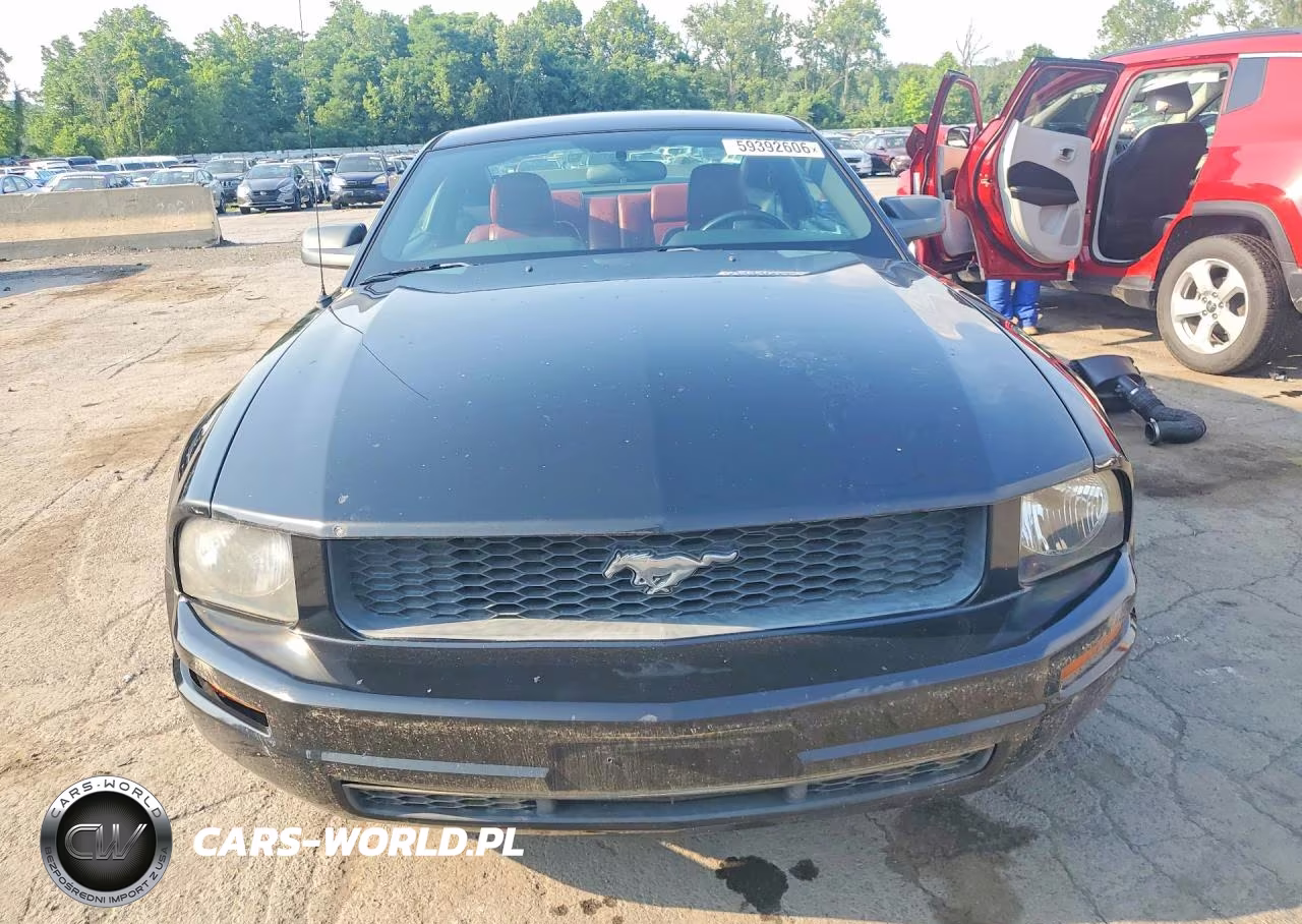 2006 Ford Mustang VIN:1ZVHT80N565131602 - 5