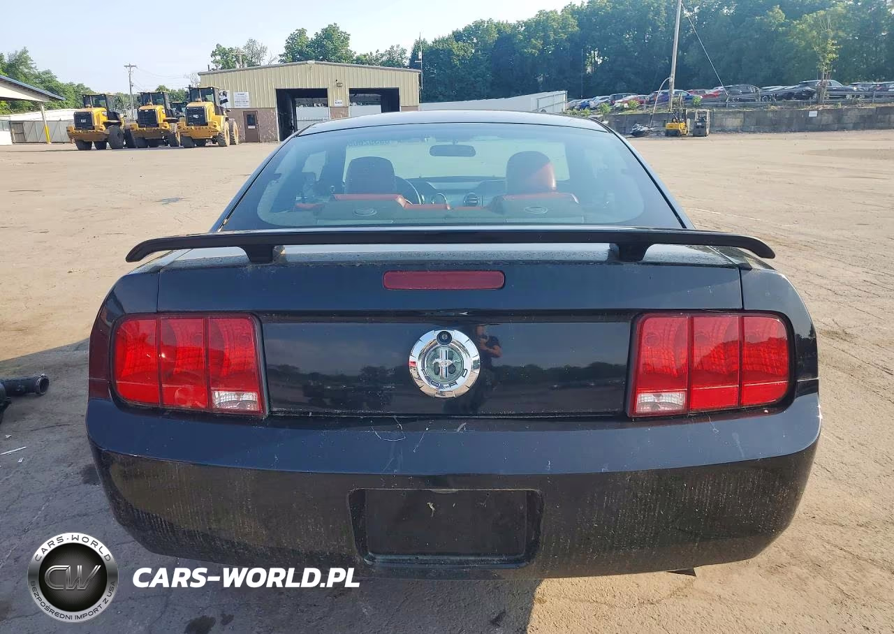 2006 Ford Mustang VIN:1ZVHT80N565131602 - 6