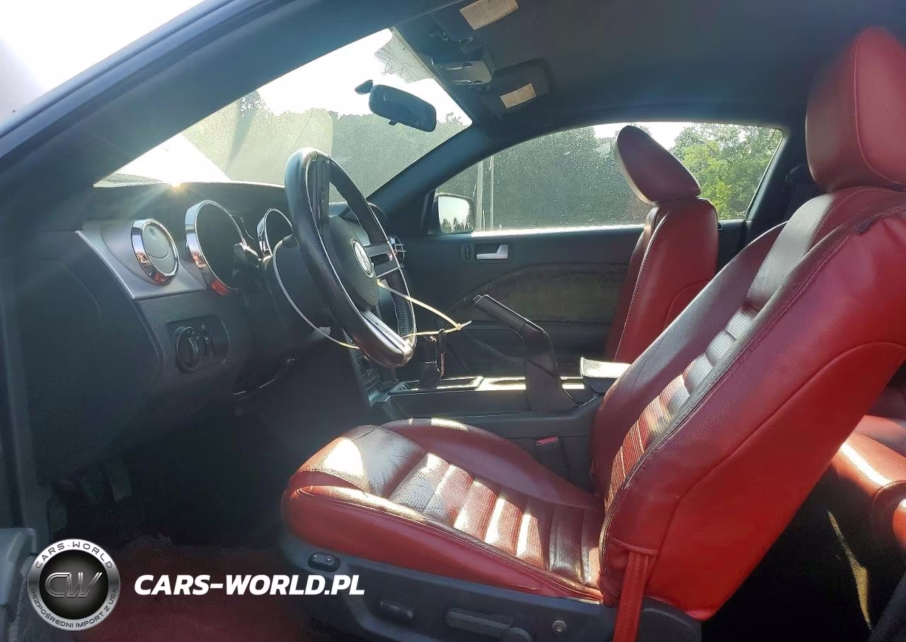 2006 Ford Mustang VIN:1ZVHT80N565131602 - 7