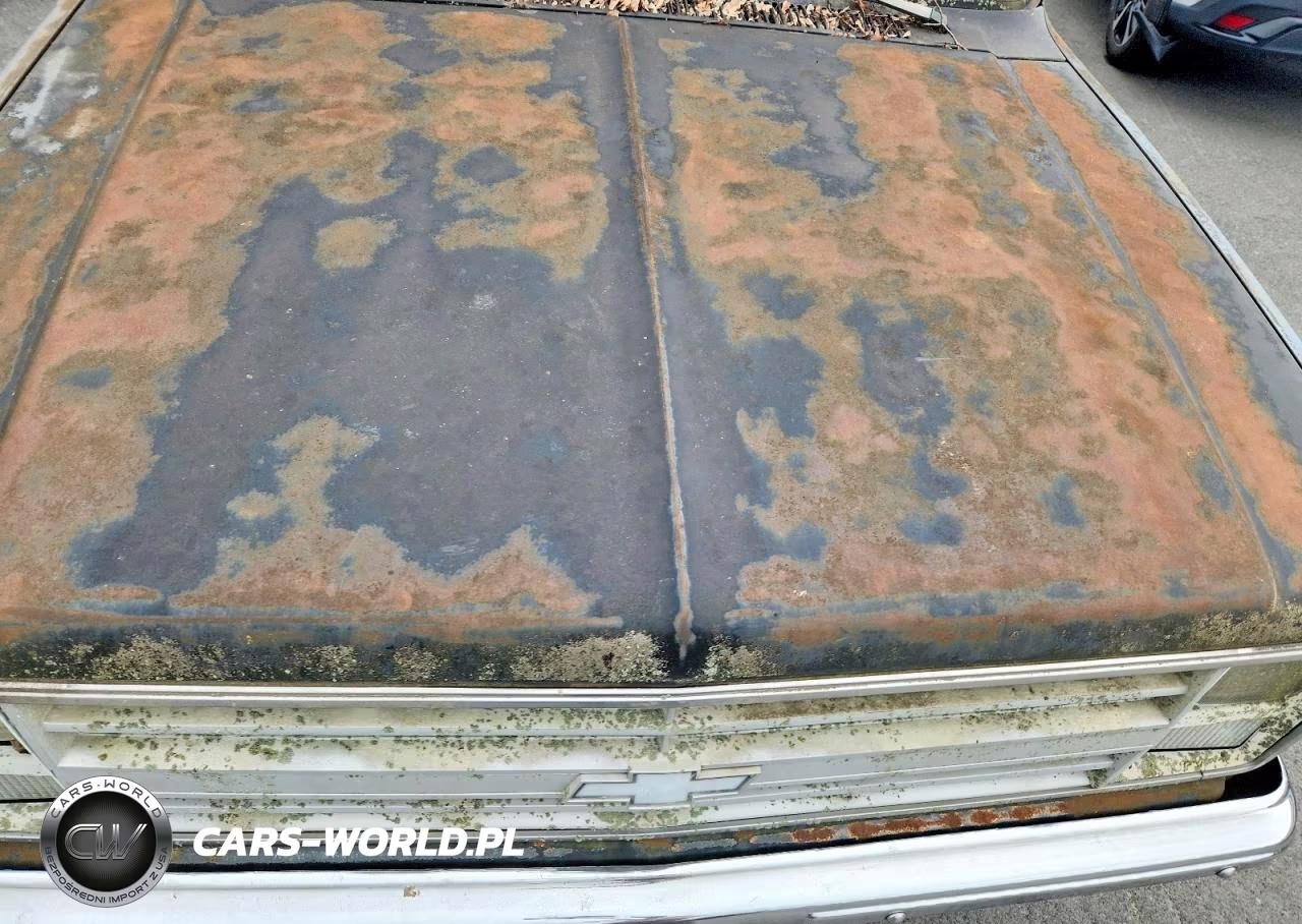 1987 Chevrolet R10 VIN:1GCCR14HXHF311288 - 11