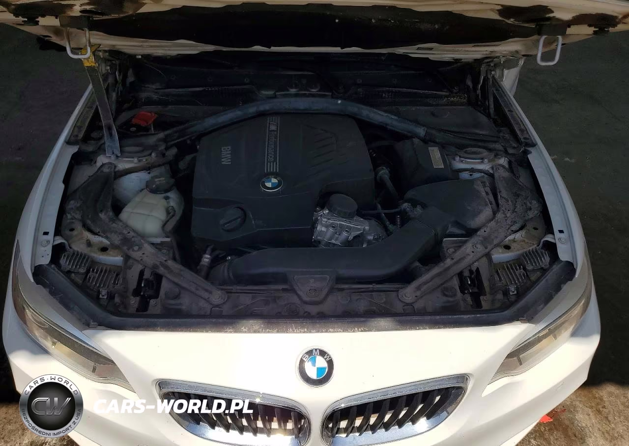 2015 BMW M235I VIN:WBA1M1C50FV393383 - 11