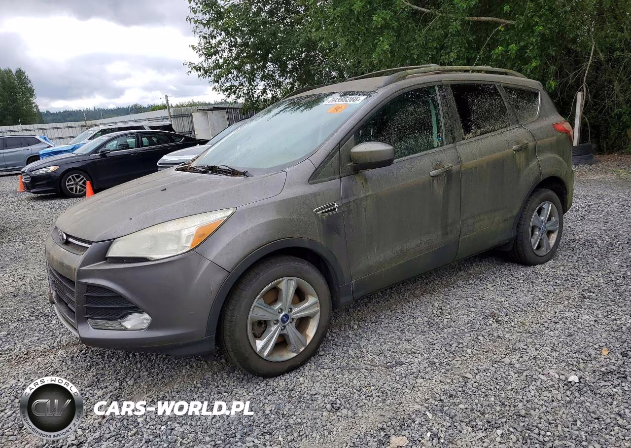 2013 Ford Escape Se – zdjęcie 1 z 13