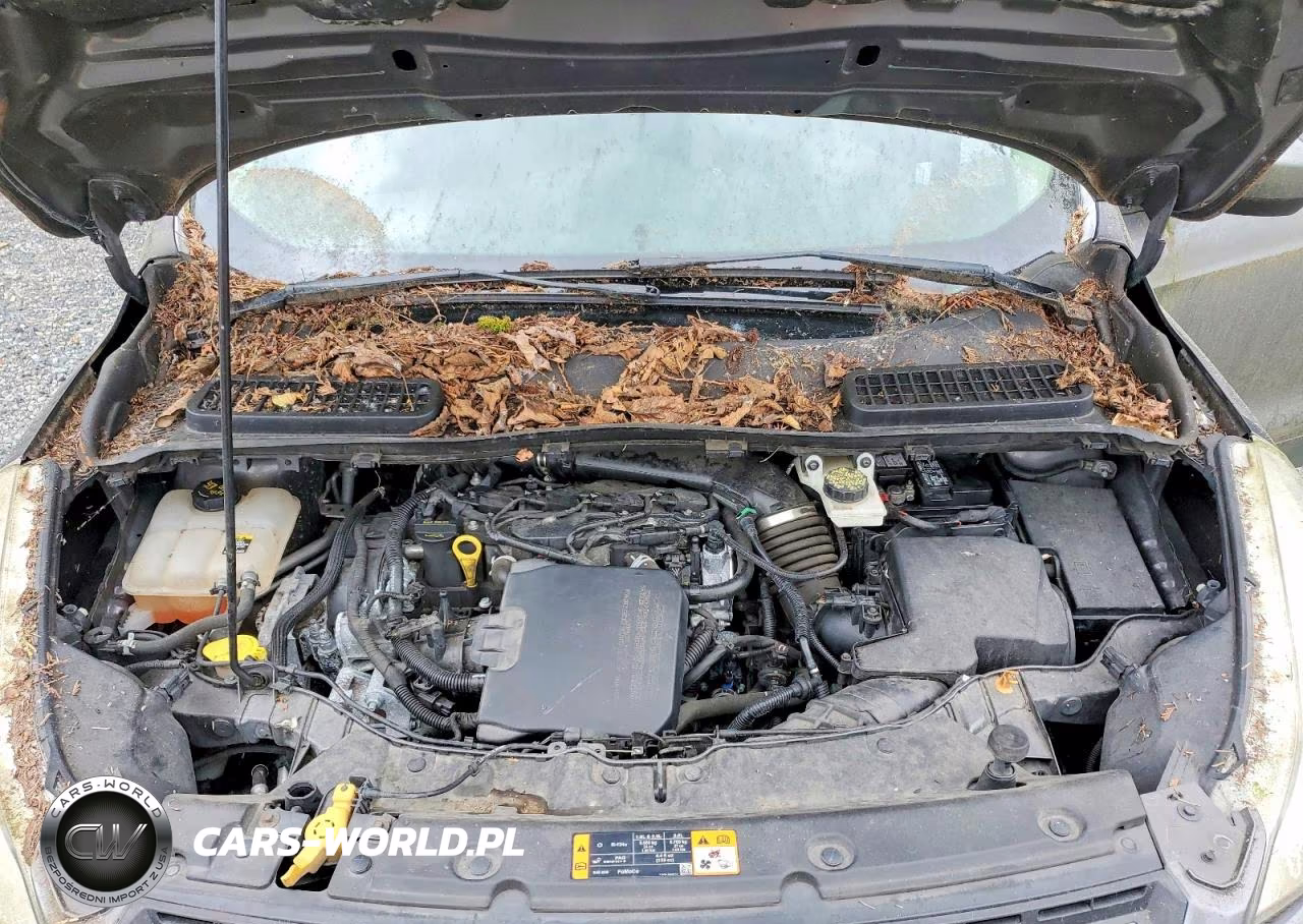 2013 Ford Escape Se VIN:1FMCU9GX8DUC94217 - 12