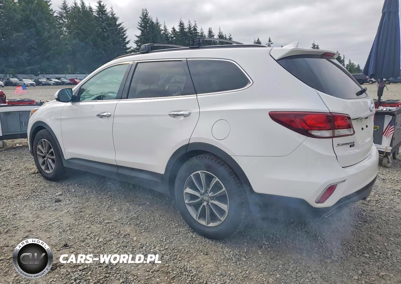 2019 Hyundai Santa Fe Xl Se VIN:KM8SMDHF8KU298043 - 2