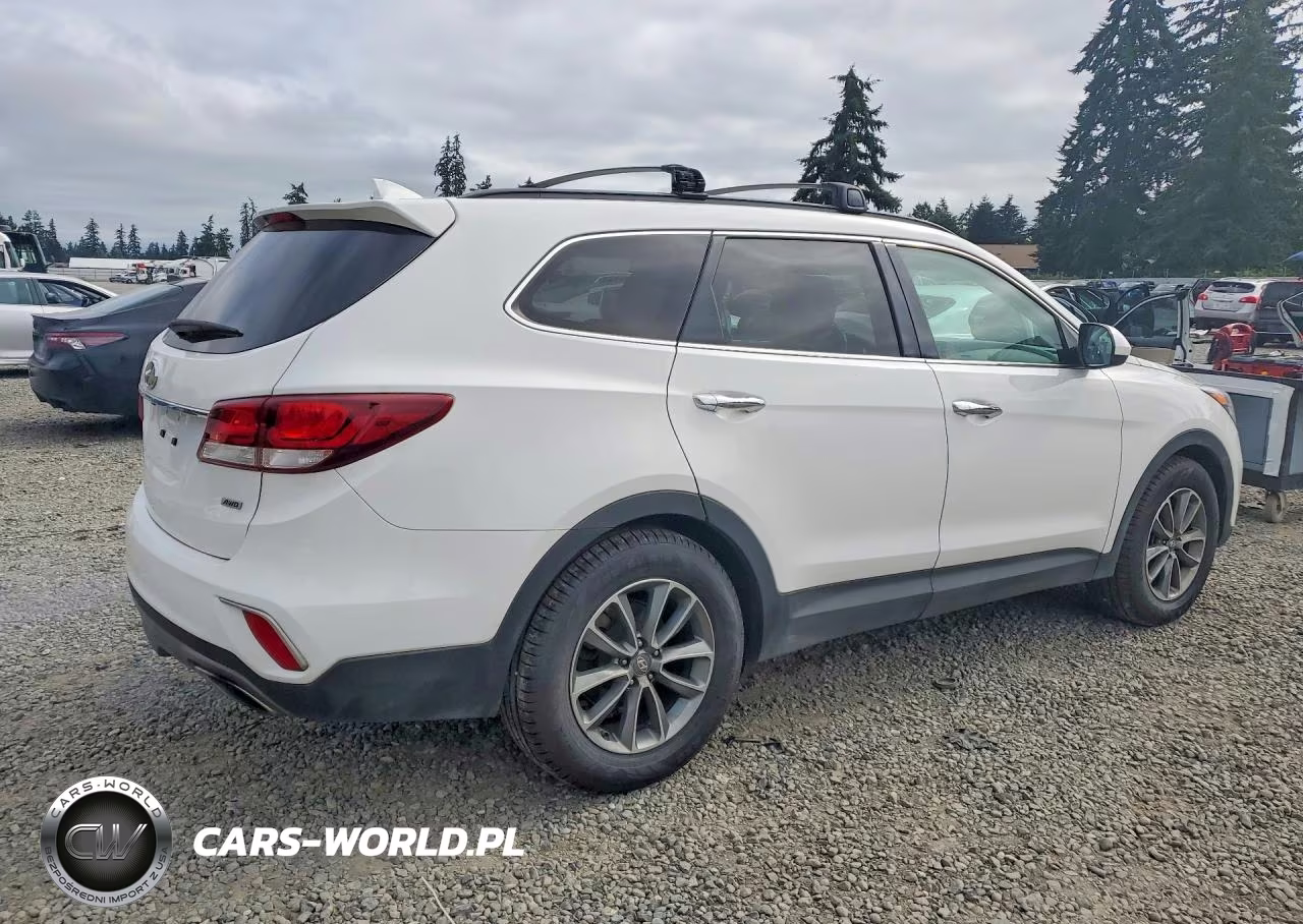 2019 Hyundai Santa Fe Xl Se VIN:KM8SMDHF8KU298043 - 3