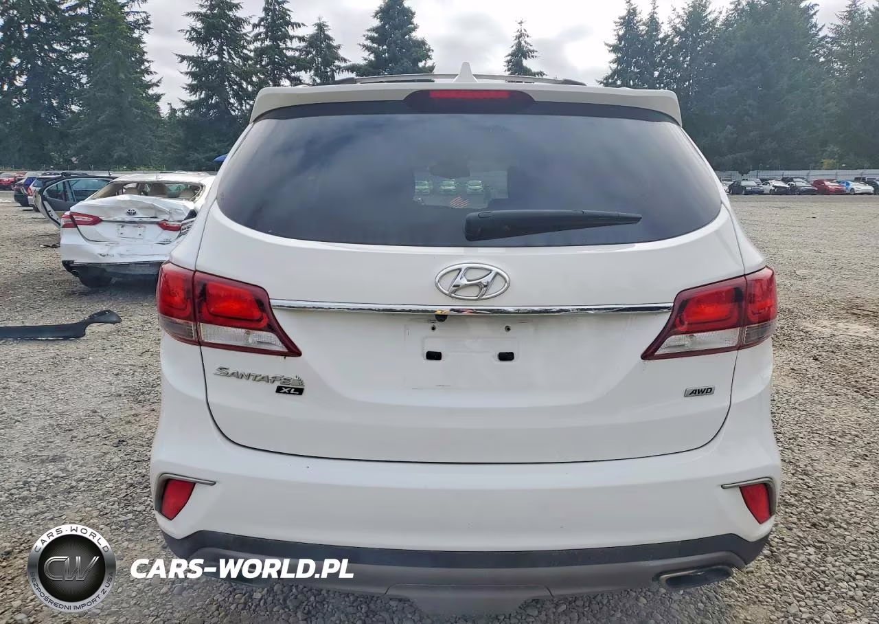 2019 Hyundai Santa Fe Xl Se VIN:KM8SMDHF8KU298043 - 6