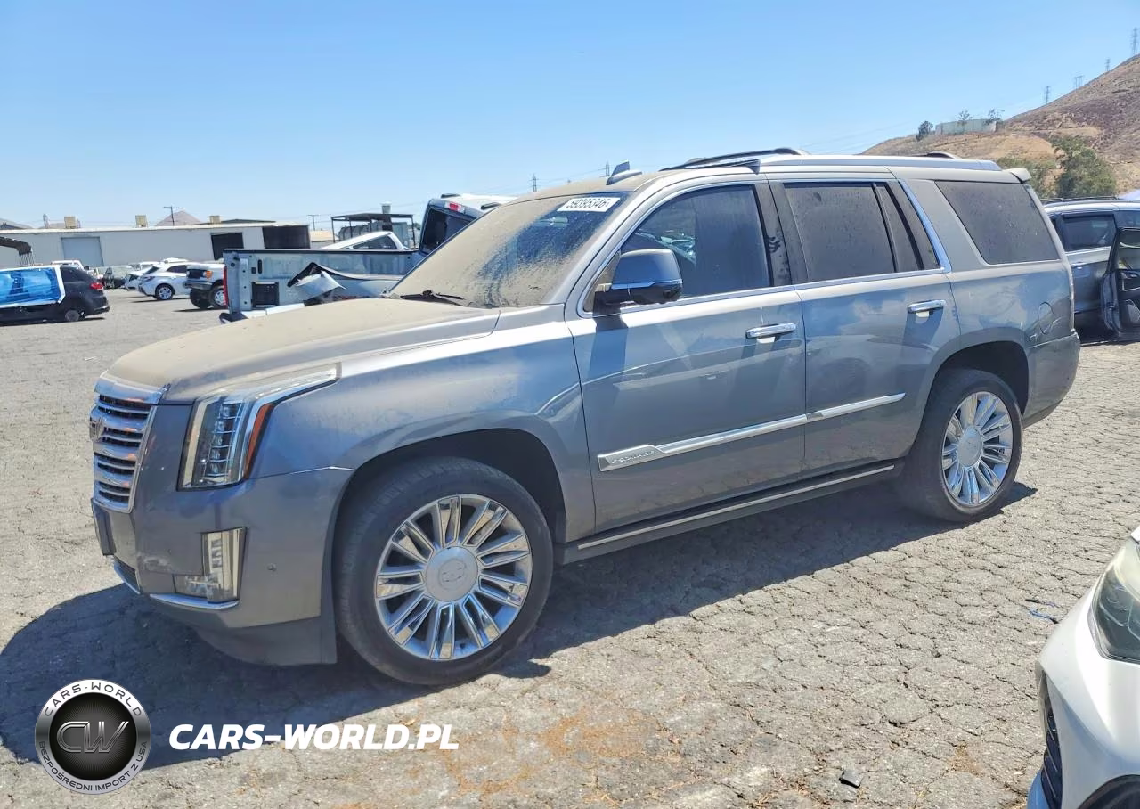 2019 Cadillac Escalade Platinum VIN:1GYS4DKJ9KR355042 - 1