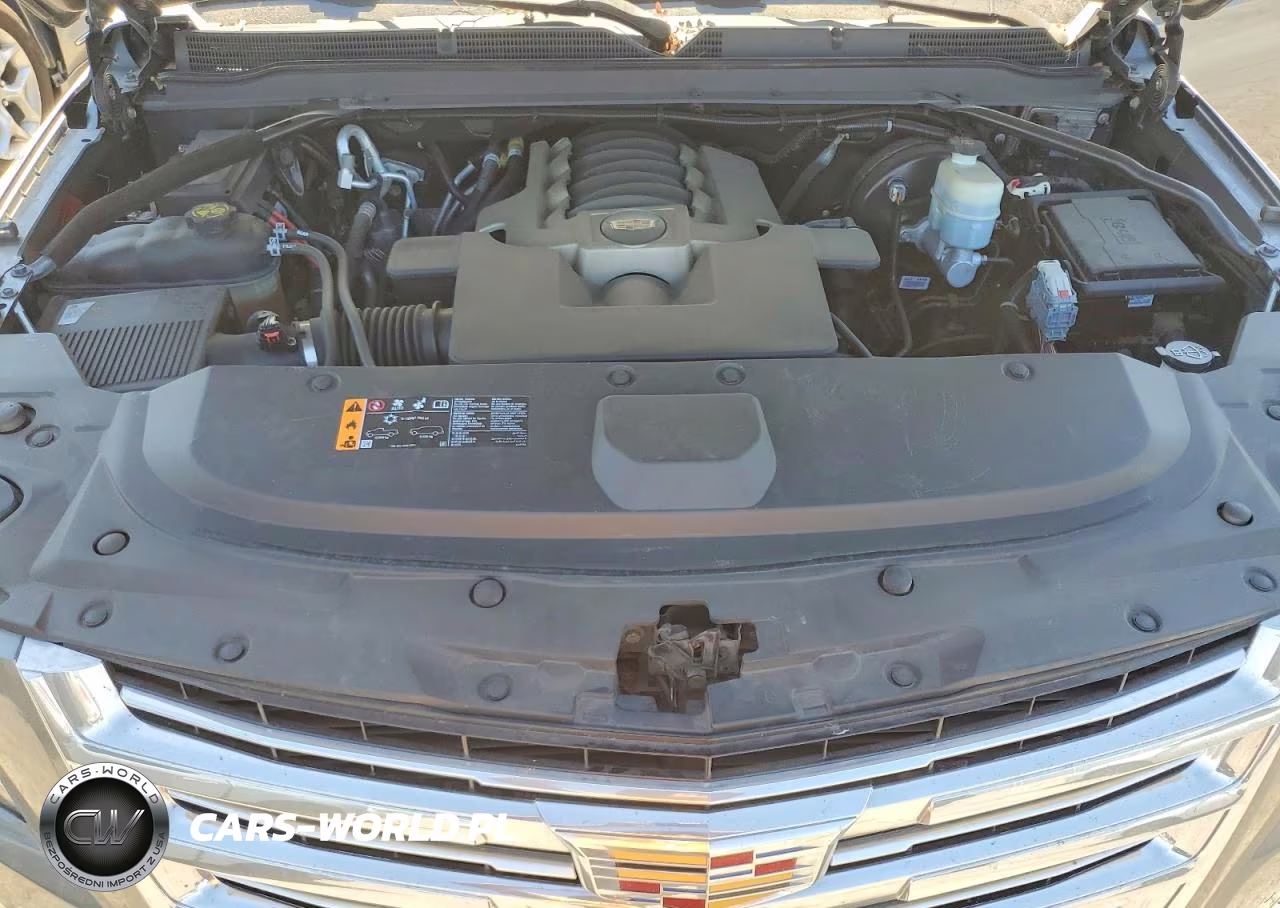 2019 Cadillac Escalade Platinum VIN:1GYS4DKJ9KR355042 - 12