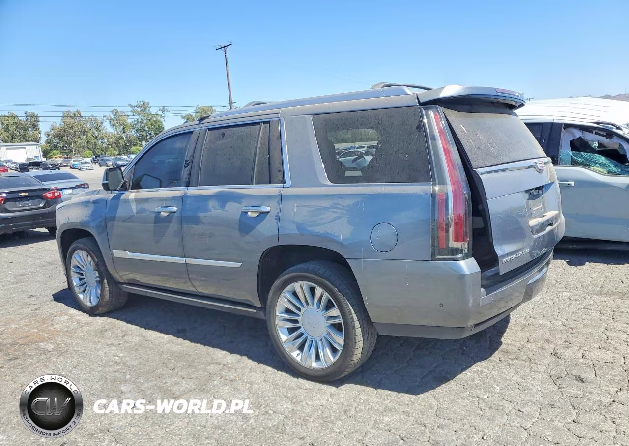 2019 Cadillac Escalade Platinum VIN:1GYS4DKJ9KR355042 - 2
