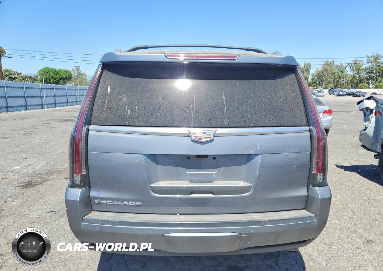 2019 Cadillac Escalade Platinum VIN:1GYS4DKJ9KR355042 - 6