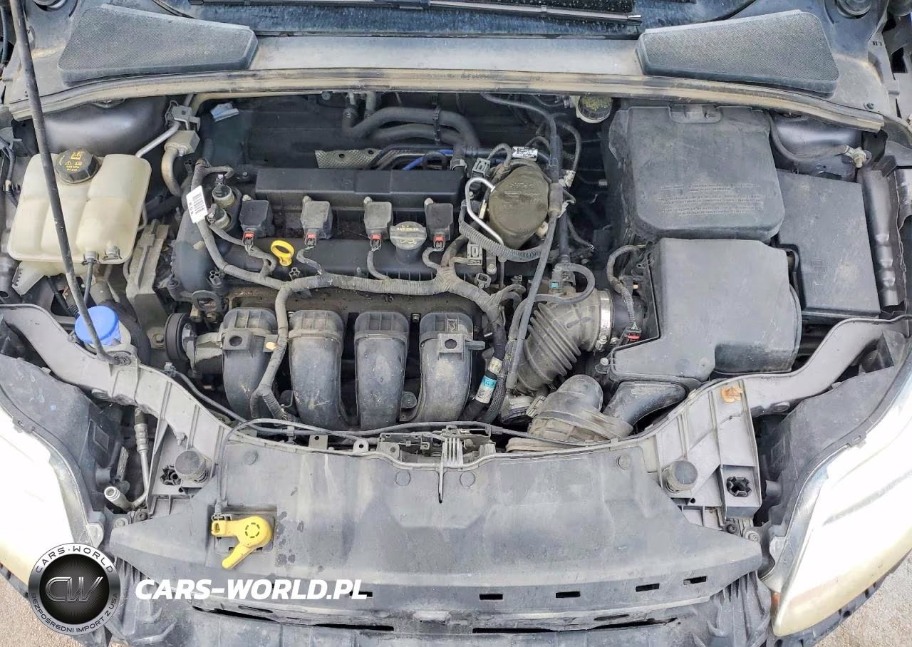 2014 Ford Focus Se VIN:1FADP3F2XEL165783 - 11