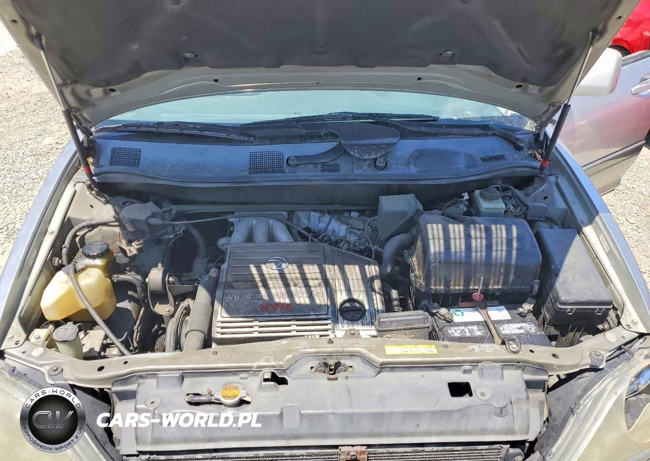 1999 Lexus Rx 300 VIN:JT6HF10U1X0061451 - 12
