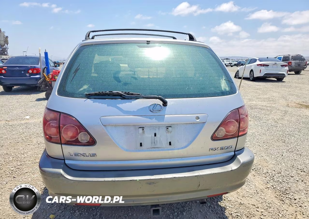 1999 Lexus Rx 300 VIN:JT6HF10U1X0061451 - 6
