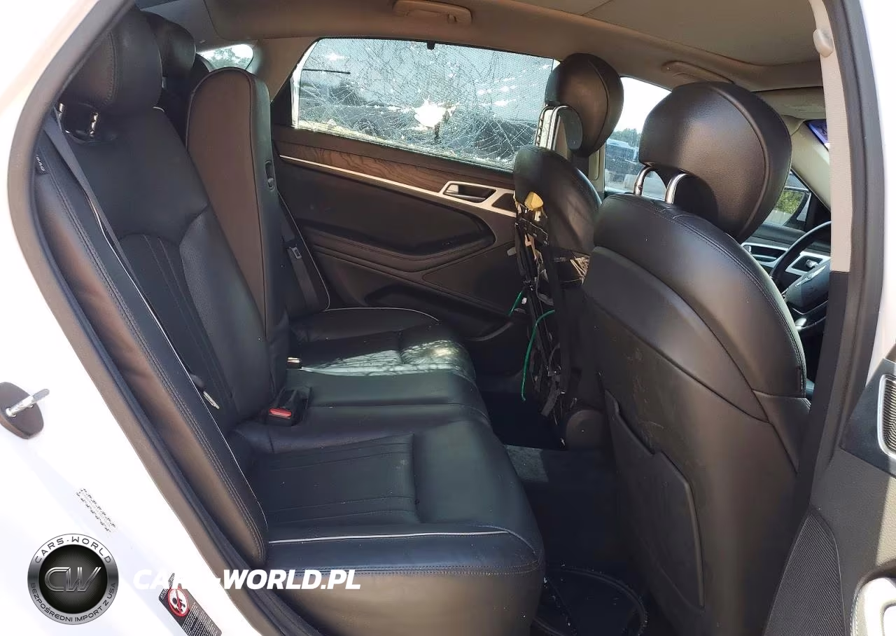 2015 Hyundai Genesis 5.0L VIN:KMHGN4JF4FU073458 - 10