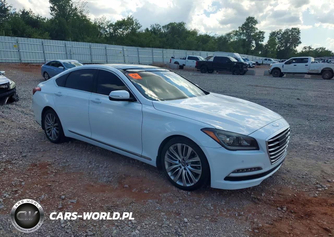 2015 Hyundai Genesis 5.0L VIN:KMHGN4JF4FU073458 - 4