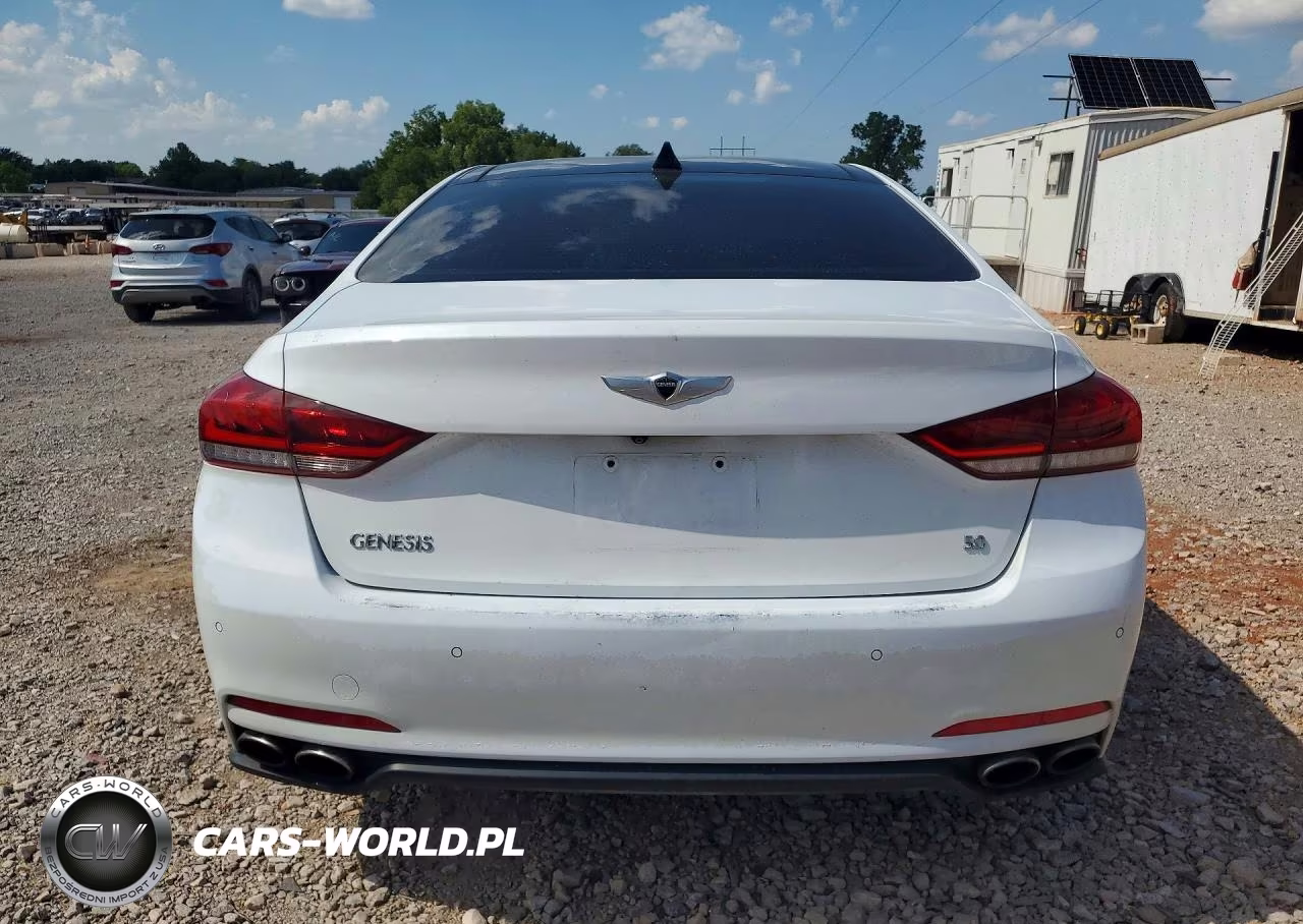 2015 Hyundai Genesis 5.0L VIN:KMHGN4JF4FU073458 - 6