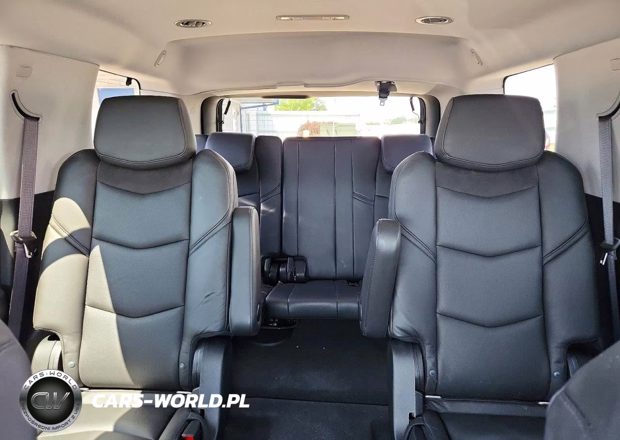 2020 Cadillac Escalade Premium Luxury VIN:1GYS4CKJ2LR112698 - 10