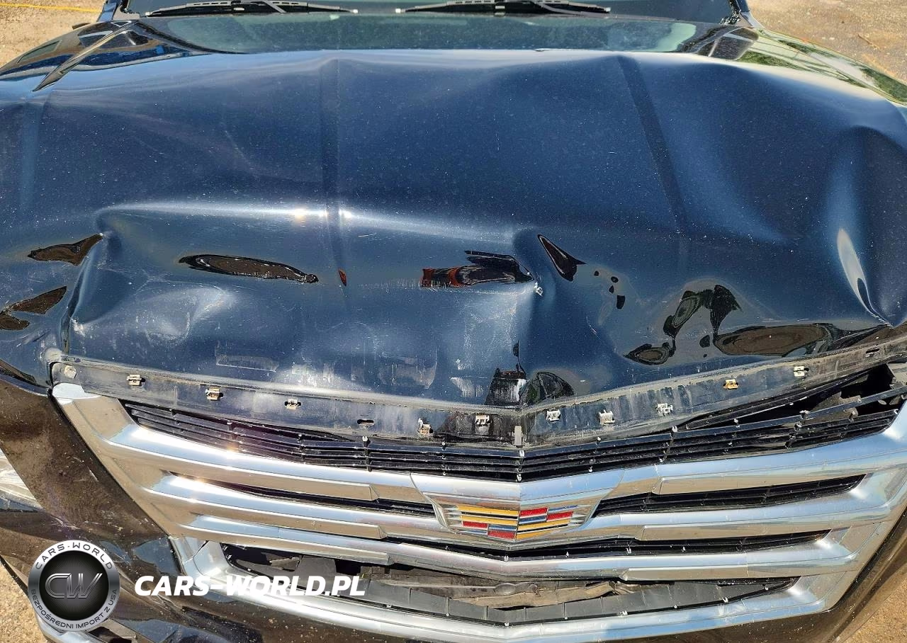 2020 Cadillac Escalade Premium Luxury VIN:1GYS4CKJ2LR112698 - 12