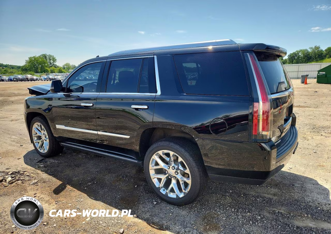 2020 Cadillac Escalade Premium Luxury VIN:1GYS4CKJ2LR112698 - 2