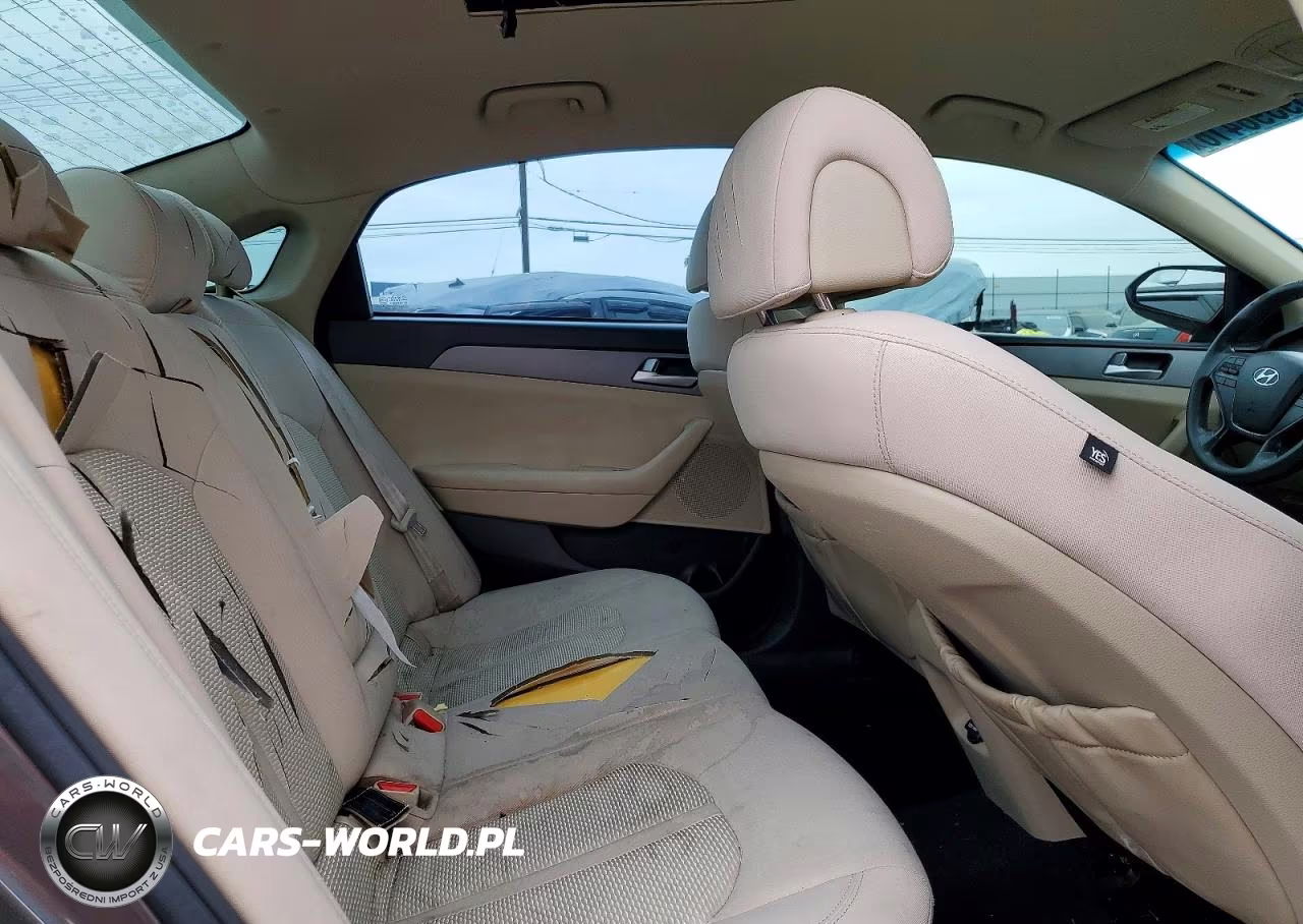 2015 Hyundai Sonata VIN:5NPE24AF1FH048824 - 10