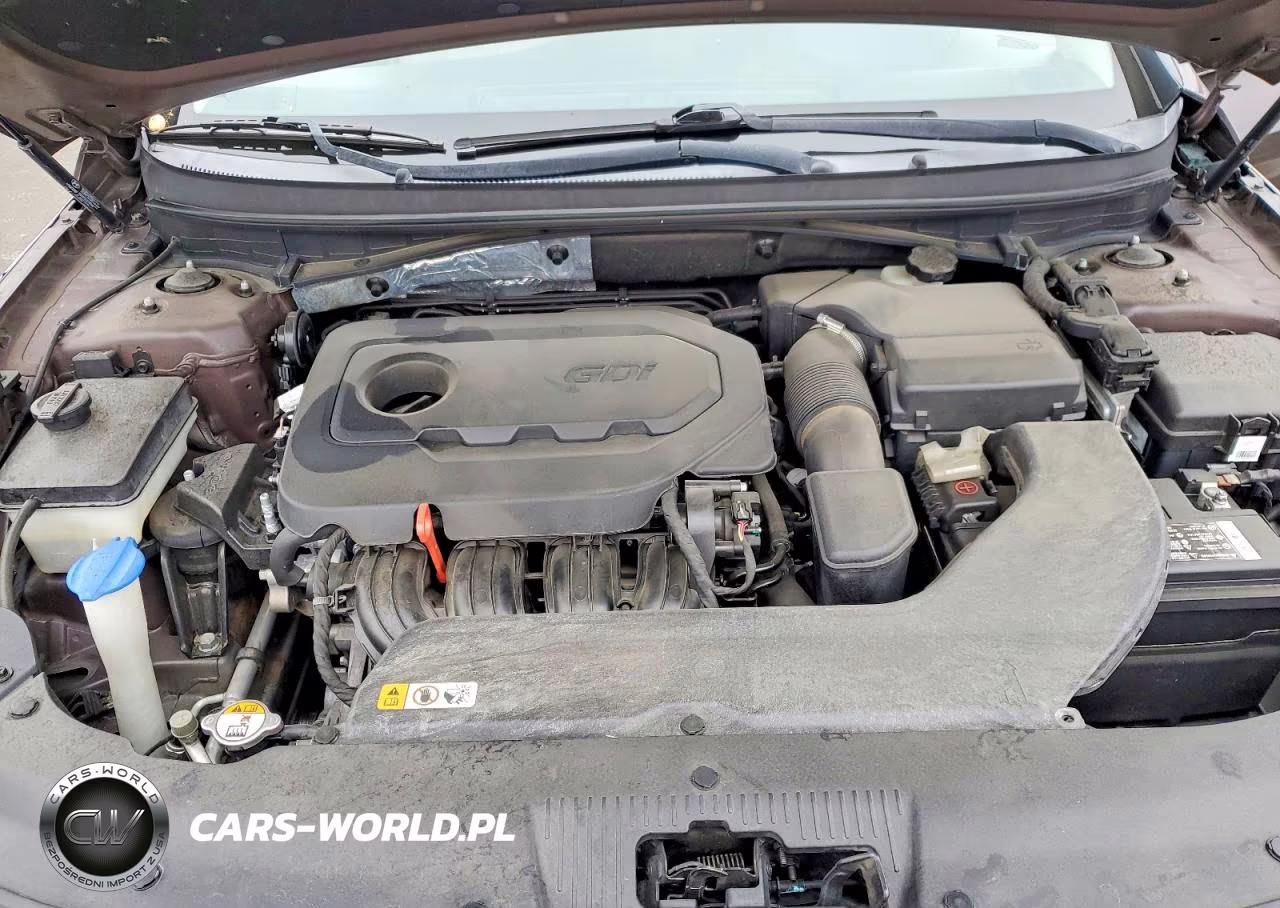 2015 Hyundai Sonata VIN:5NPE24AF1FH048824 - 11