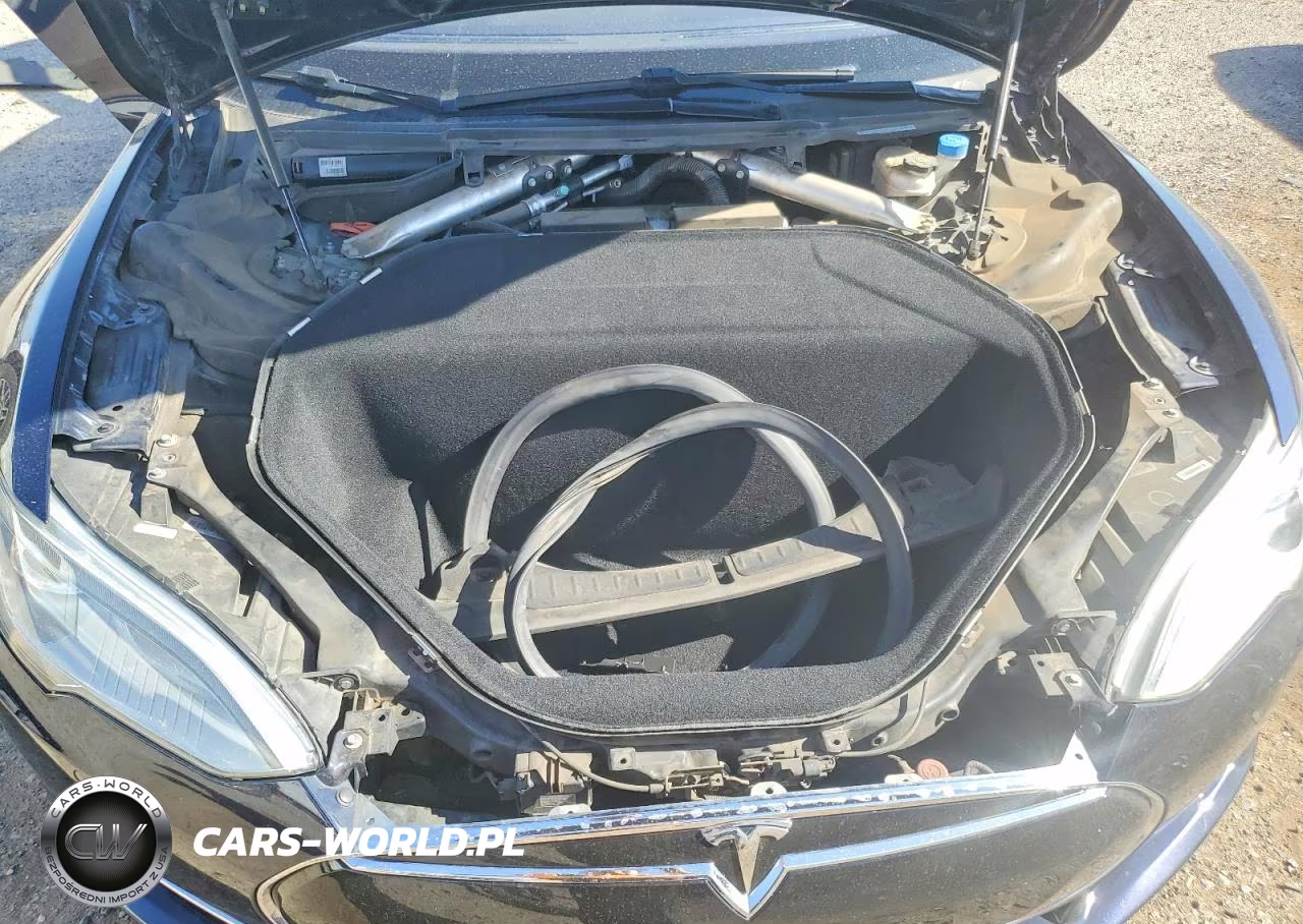 2015 Tesla Model S 85D VIN:5YJSA1H21FFP69795 - 11