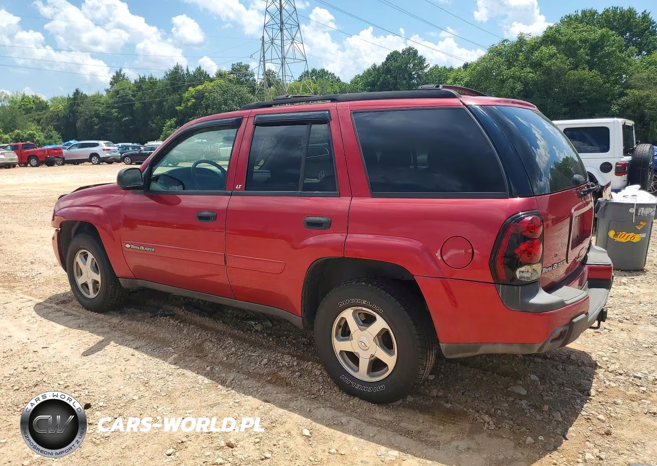 2003 Chevrolet Trailblazer VIN:1GNDS13S732387323 - 2