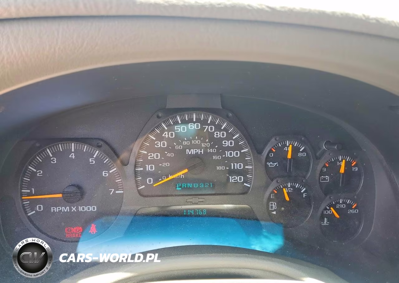 2003 Chevrolet Trailblazer VIN:1GNDS13S732387323 - 9