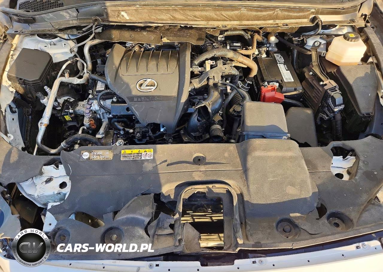 2024 Lexus Rx 350 Base VIN:2T2BAMBA9RC042684 - 12