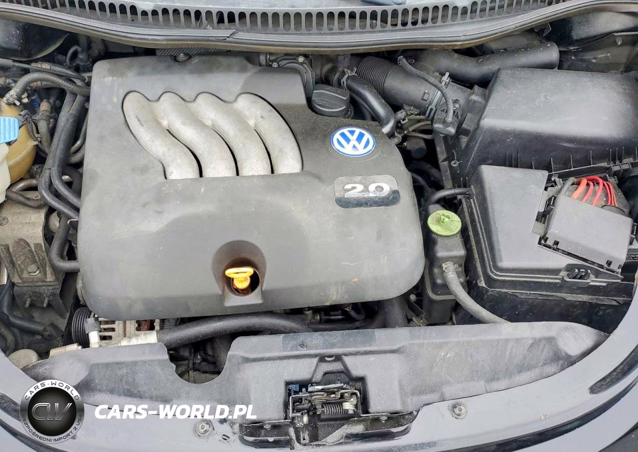 2001 Volkswagen New Beetle Gl VIN:3VWBS21C21M419230 - 11