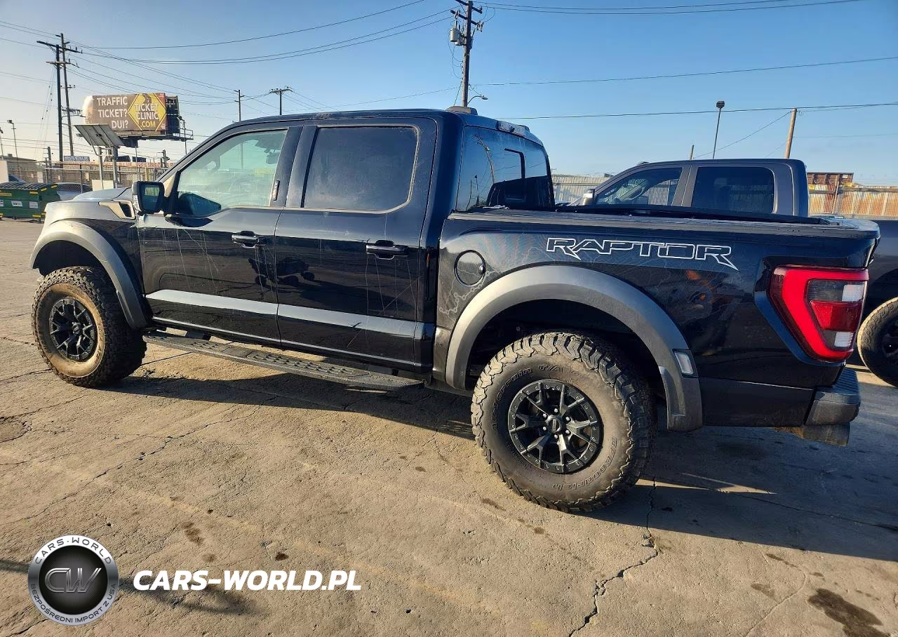 2023 Ford F-150 Raptor VIN:1FTFW1RGXPFA44173 - 2