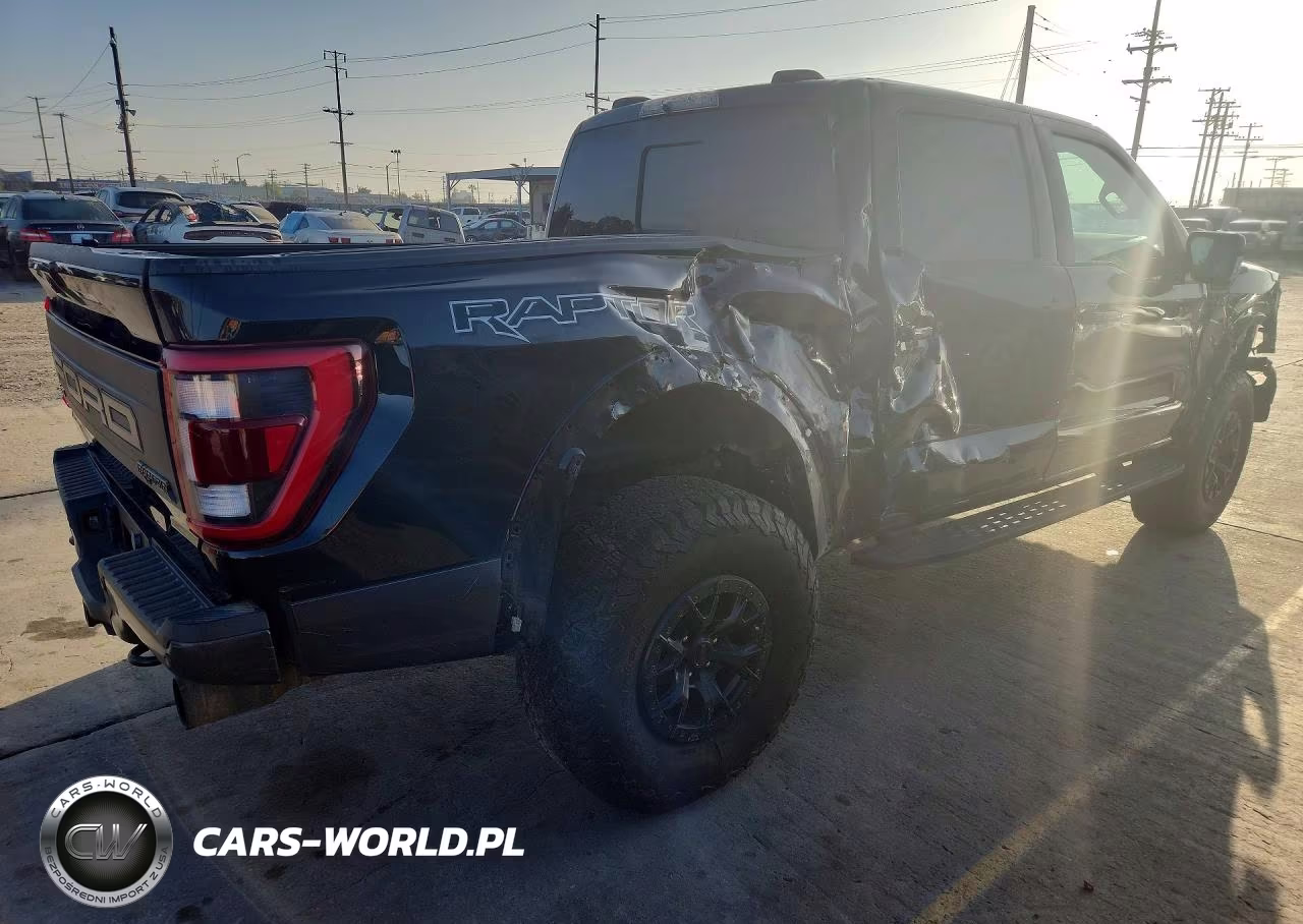 2023 Ford F-150 Raptor VIN:1FTFW1RGXPFA44173 - 3