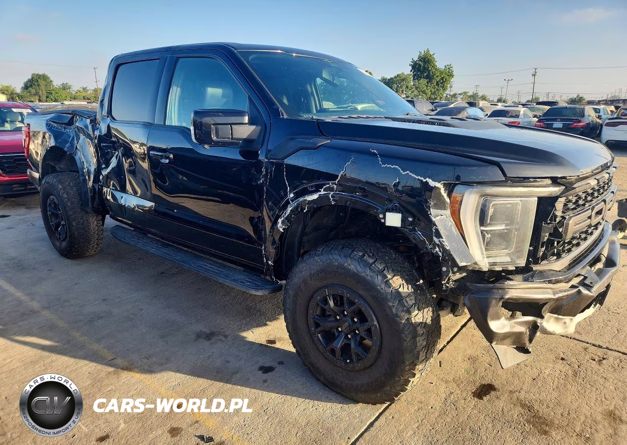 2023 Ford F-150 Raptor VIN:1FTFW1RGXPFA44173 - 4