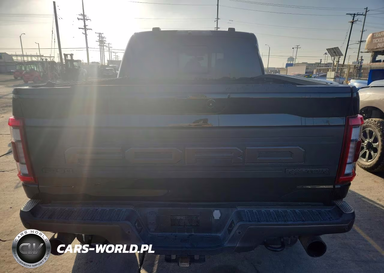 2023 Ford F-150 Raptor VIN:1FTFW1RGXPFA44173 - 6