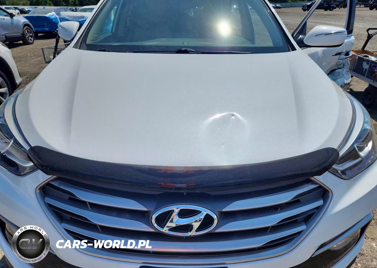 2018 Hyundai Santa Fe Sport 2.4L VIN:5NMZUDLB9JH069657 - 12