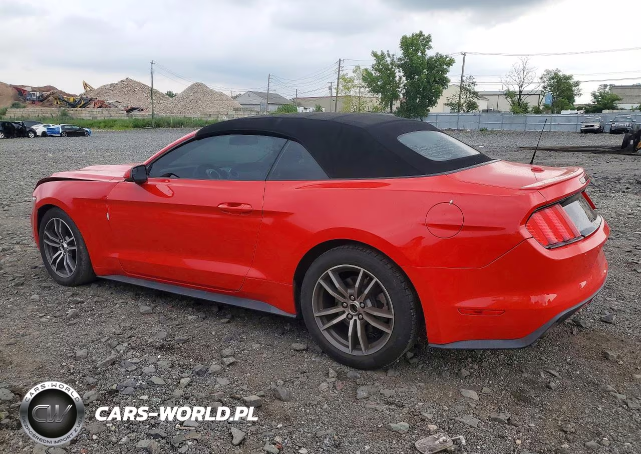 2017 Ford Mustang VIN:1FATP8UH9H5204453 - 2