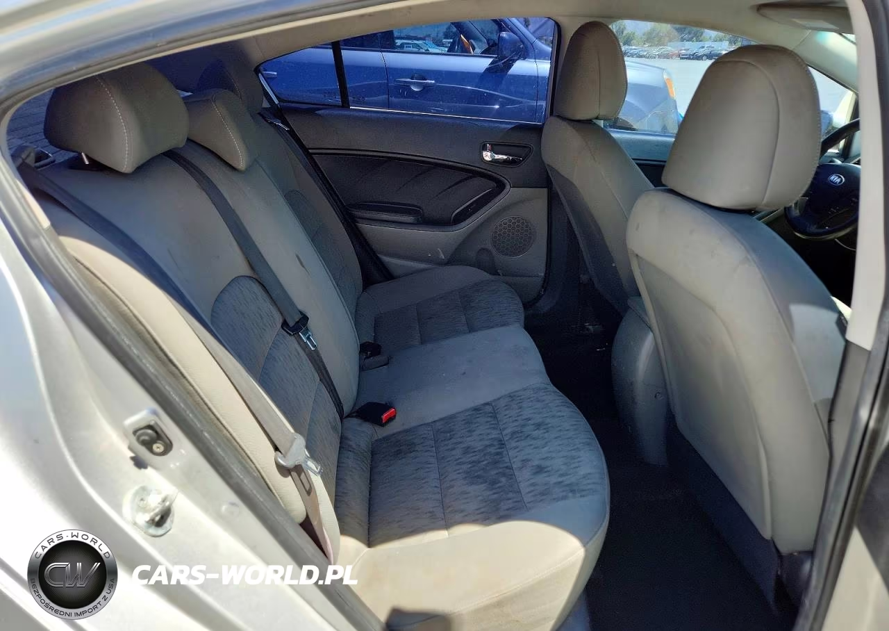 2014 Kia Forte Lx VIN:KNAFK4A64E5120020 - 10