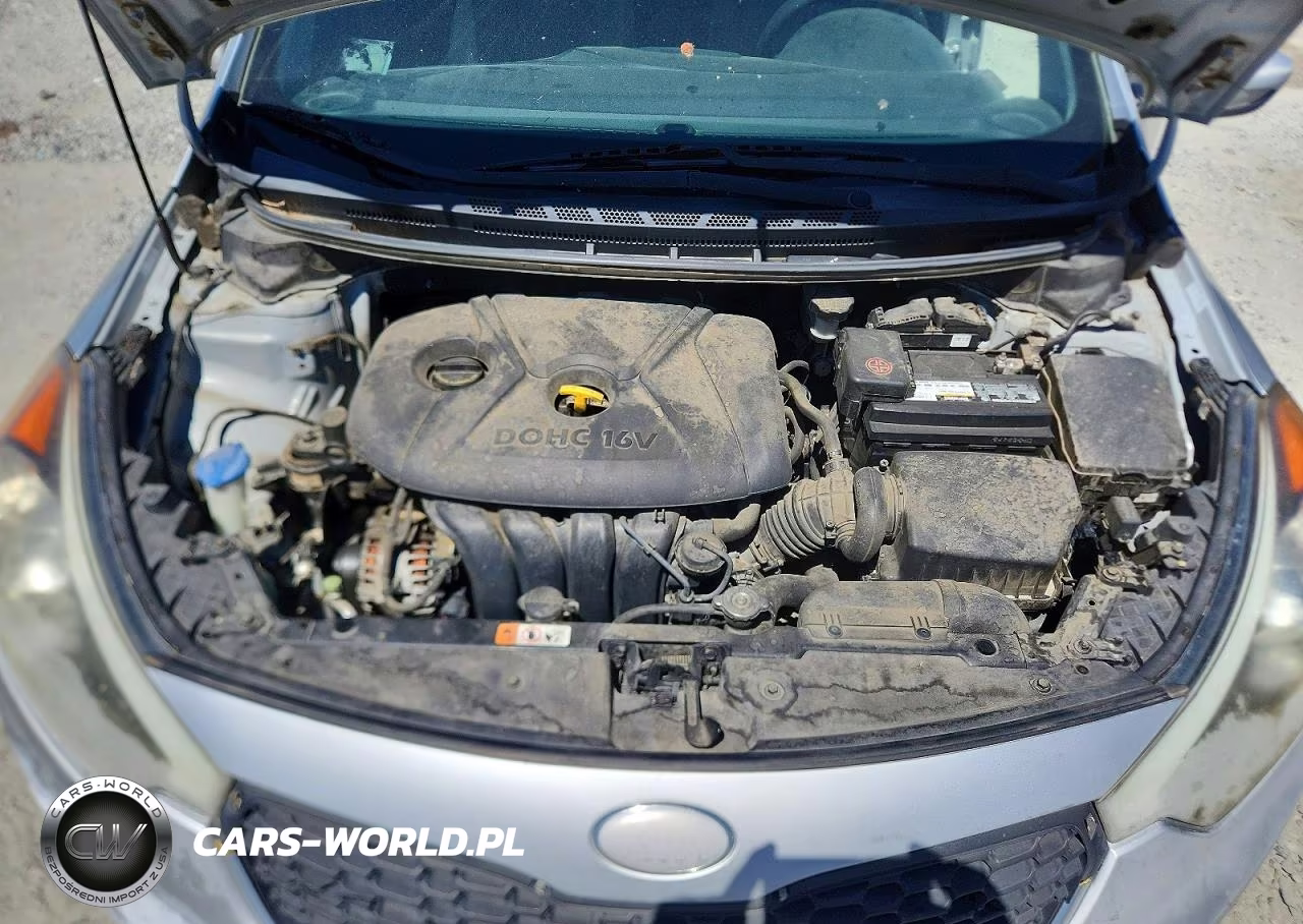 2014 Kia Forte Lx VIN:KNAFK4A64E5120020 - 11