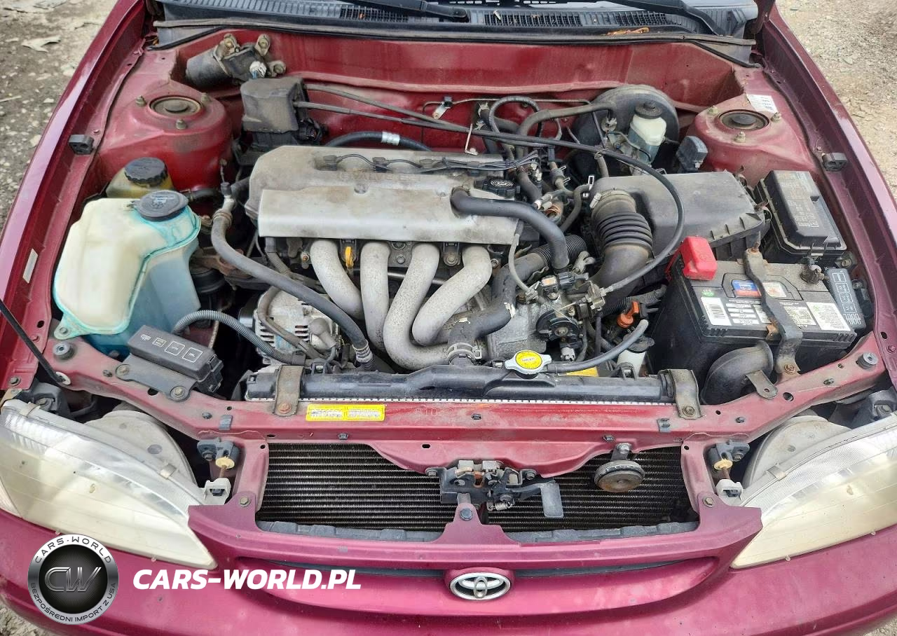 1998 Toyota Corolla Ve VIN:2T1BR18E1WC092433 - 11