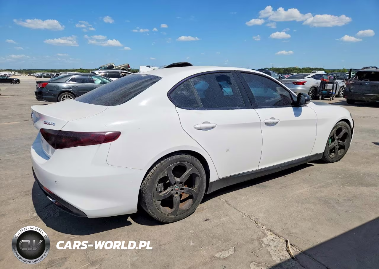 2018 Alfa Romeo Giulia VIN:ZARFAEBN8J7566032 - 3