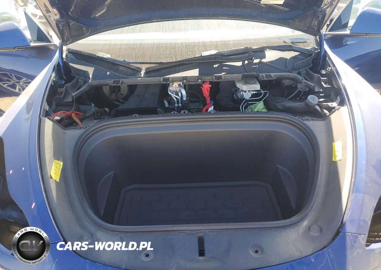 2023 Tesla Model Y VIN:7SAYGDEEXPF742110 - 12
