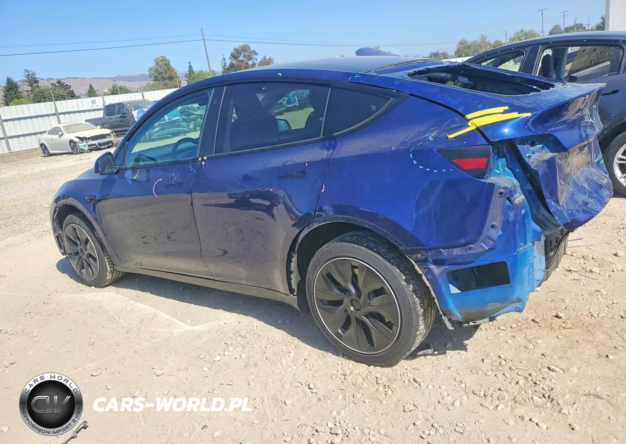 2023 Tesla Model Y VIN:7SAYGDEEXPF742110 - 2