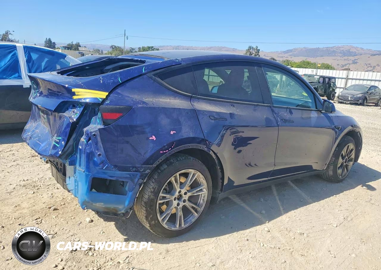 2023 Tesla Model Y VIN:7SAYGDEEXPF742110 - 3