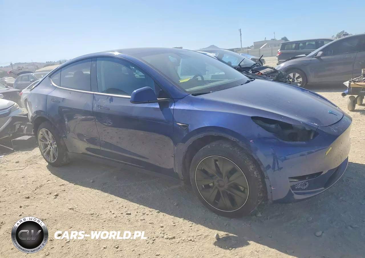 2023 Tesla Model Y VIN:7SAYGDEEXPF742110 - 4