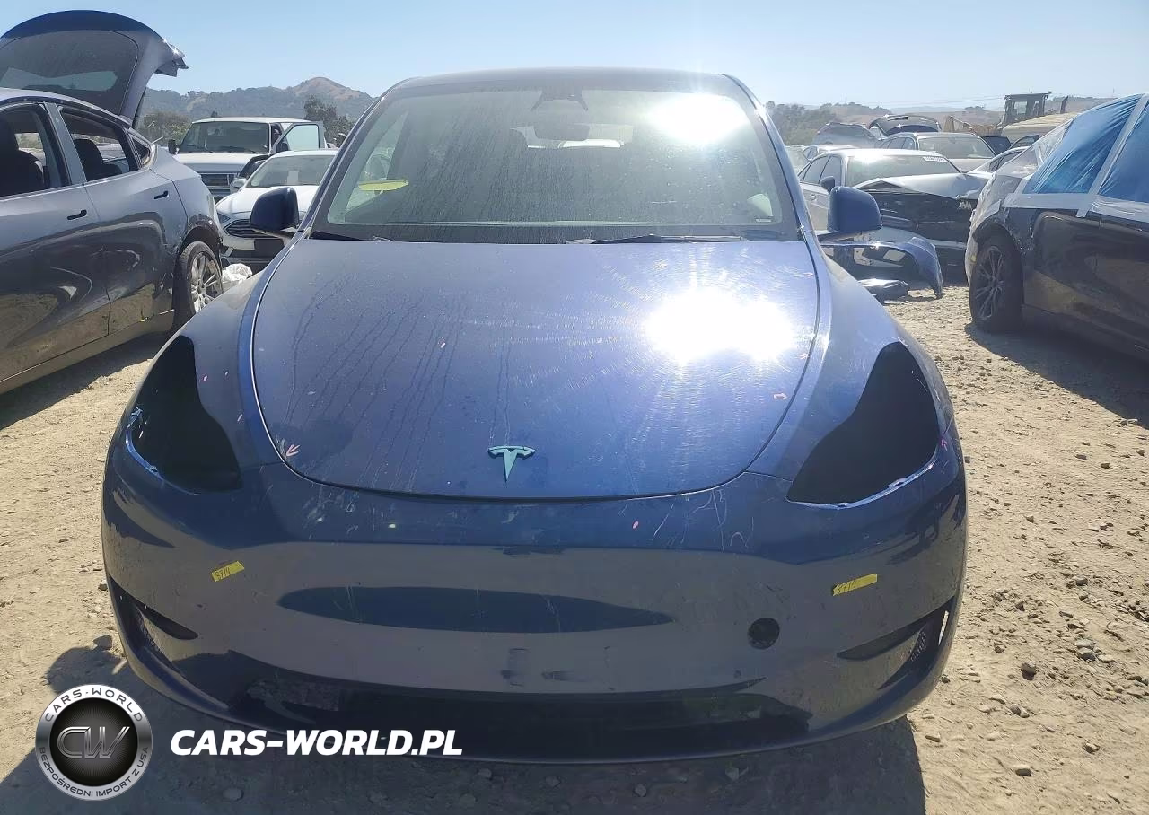 2023 Tesla Model Y VIN:7SAYGDEEXPF742110 - 5
